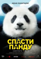  Спасти панду смотреть онлайн (2020) 