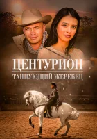  Центурион: Танцующий жеребец смотреть онлайн (2020) 