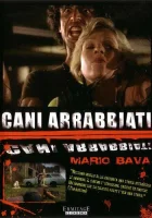  Дикие псы смотреть онлайн (1974) 