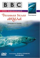  BBC: Большая белая акула смотреть онлайн (1995) 