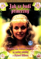  Как разбудить принцессу смотреть онлайн (1978) 