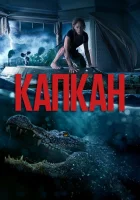  Капкан смотреть онлайн (2019) 