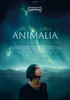  Анималия смотреть онлайн (2023) 