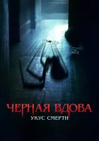  Черная вдова. Укус смерти смотреть онлайн (2024) 